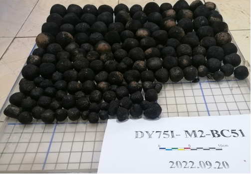 实证巨大富钴结核矿床、探索深海绿色开采技术——“大洋一号”船取得重大调查成果顺利返航