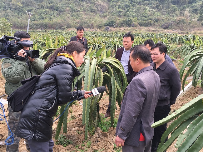 中央电视台到自治区海洋局定点帮扶贫困村真良村采访拍摄