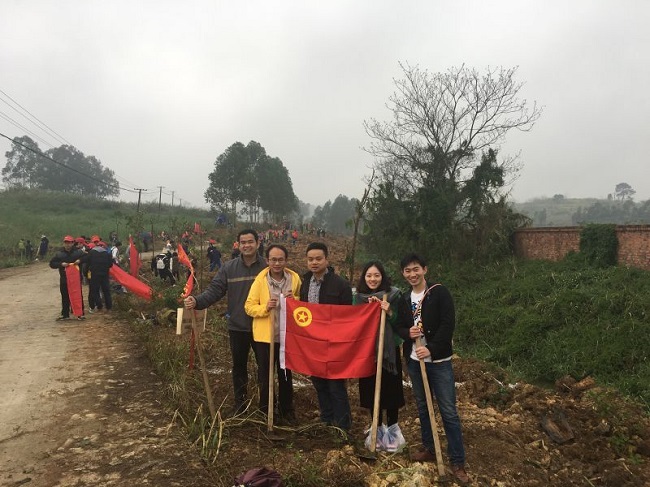 自治区海洋局积极开展植树活动