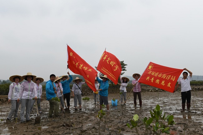 研究院“青年文明号”创建集体积极开展植树造林、红树林保育活动