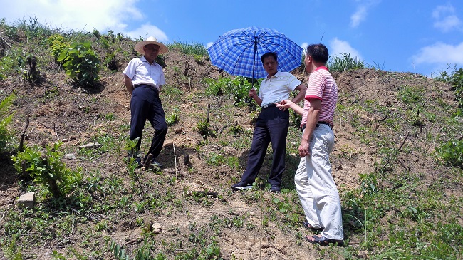 张创智深入大化县  调研扶贫工作进展