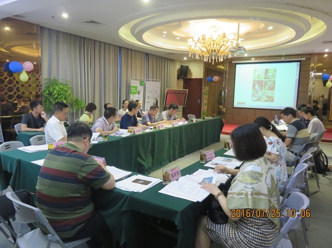 广西科技兴海专项——广西涠洲岛珊瑚礁生态系统修复方案及技术示范（一期）通过专家验收