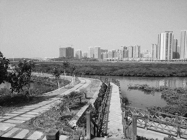 让水更清天更蓝——广西防城港市港口区海洋生态文明建设纪实