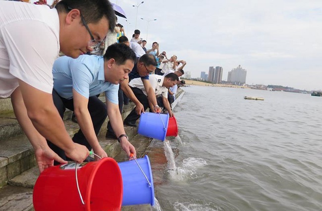 全国“放鱼日”50万尾鱼蟹放流防城港西湾